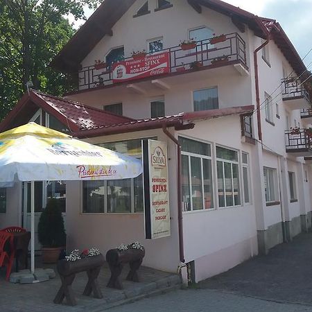 Pensiune Restaurant Sfinx Буштени Экстерьер фото