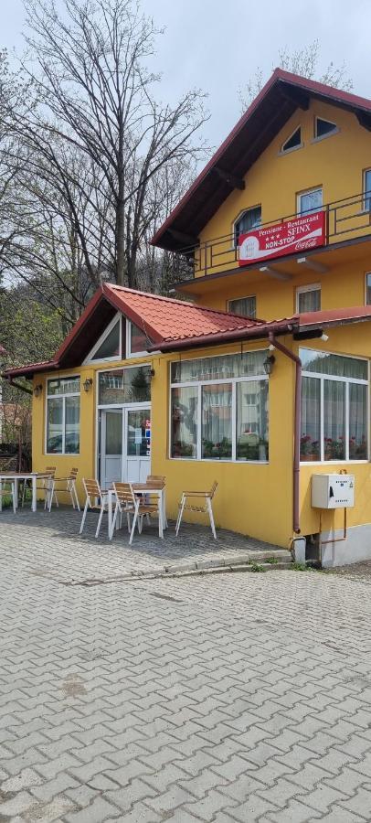 Pensiune Restaurant Sfinx Буштени Экстерьер фото